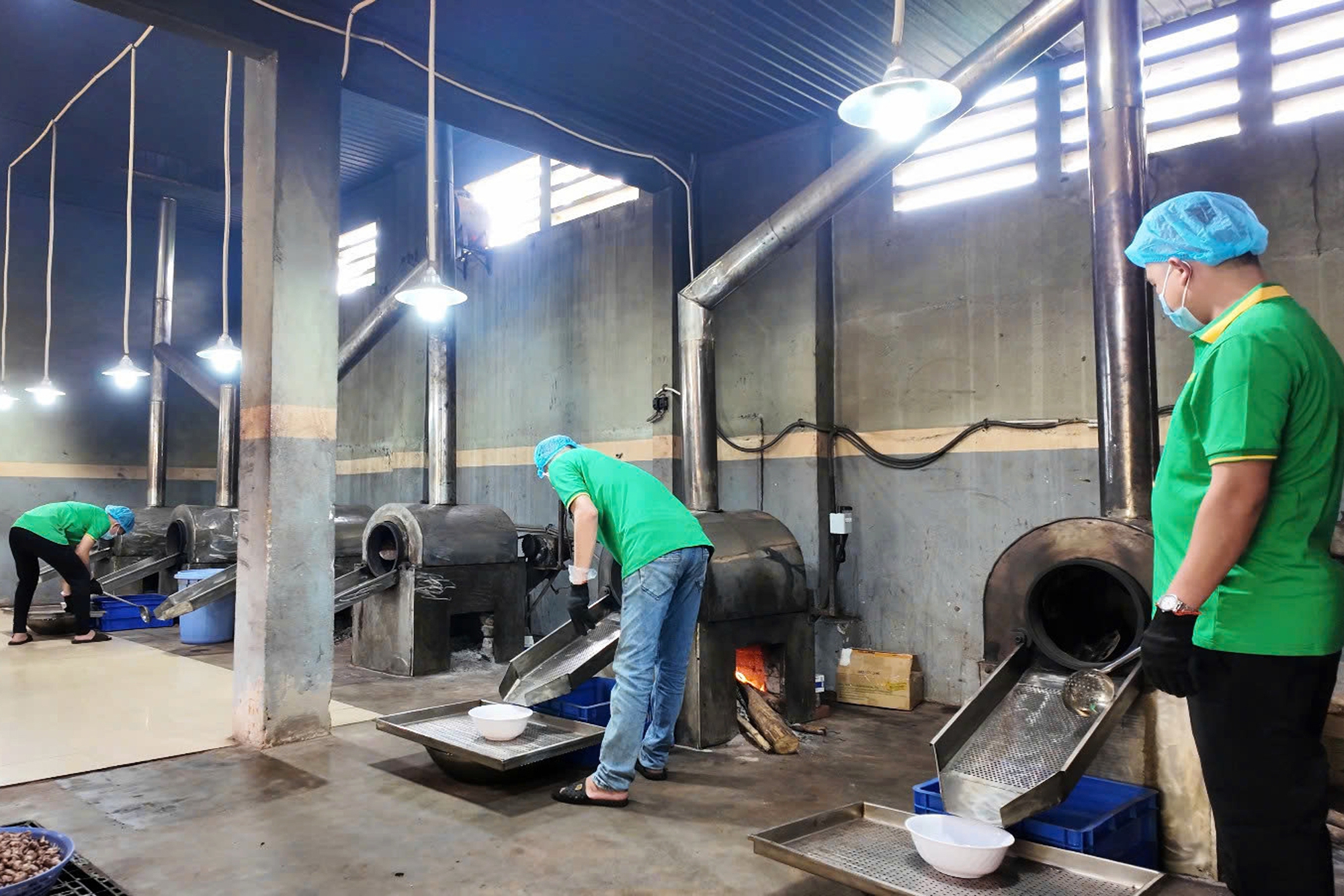 Đưa loại “hạt quý” chinh phục thị trường thế giới, anh nông dân thu lãi 250 tỷ đồng/năm - Ảnh 2