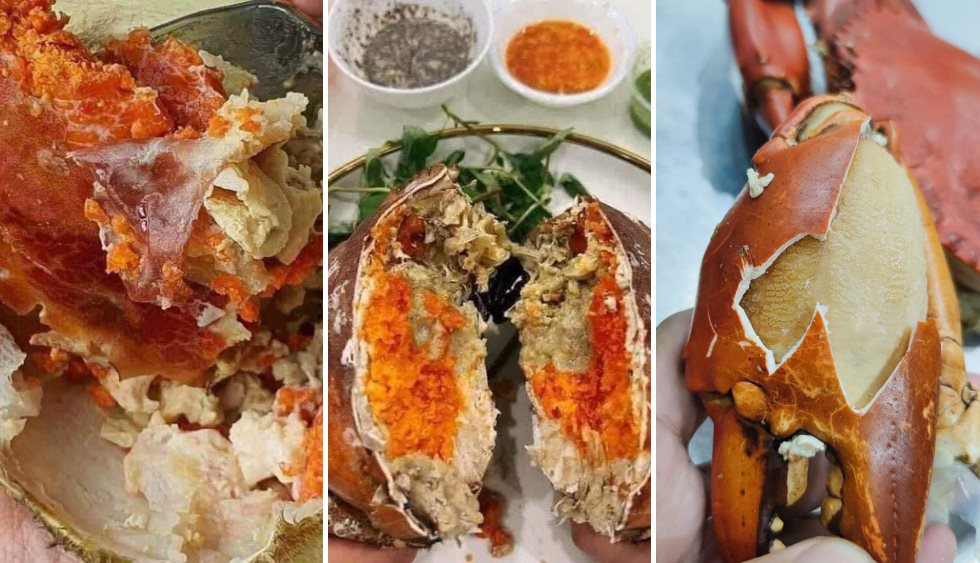 "Siêu hải sản" nổi tiếng thế giới, đi máy bay về Việt Nam nhưng giá lại rẻ hơn cả hàng nội địa - Ảnh 3