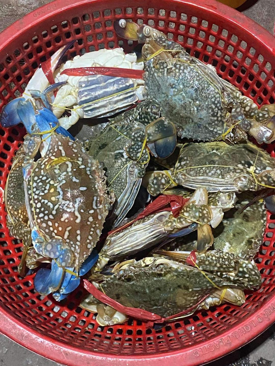 Hạ Long: Rổ ghẹ "siêu to" có giá chỉ 50k khiến MXH tranh luận rôm rả, người dân địa phương nói gì? - Ảnh 1