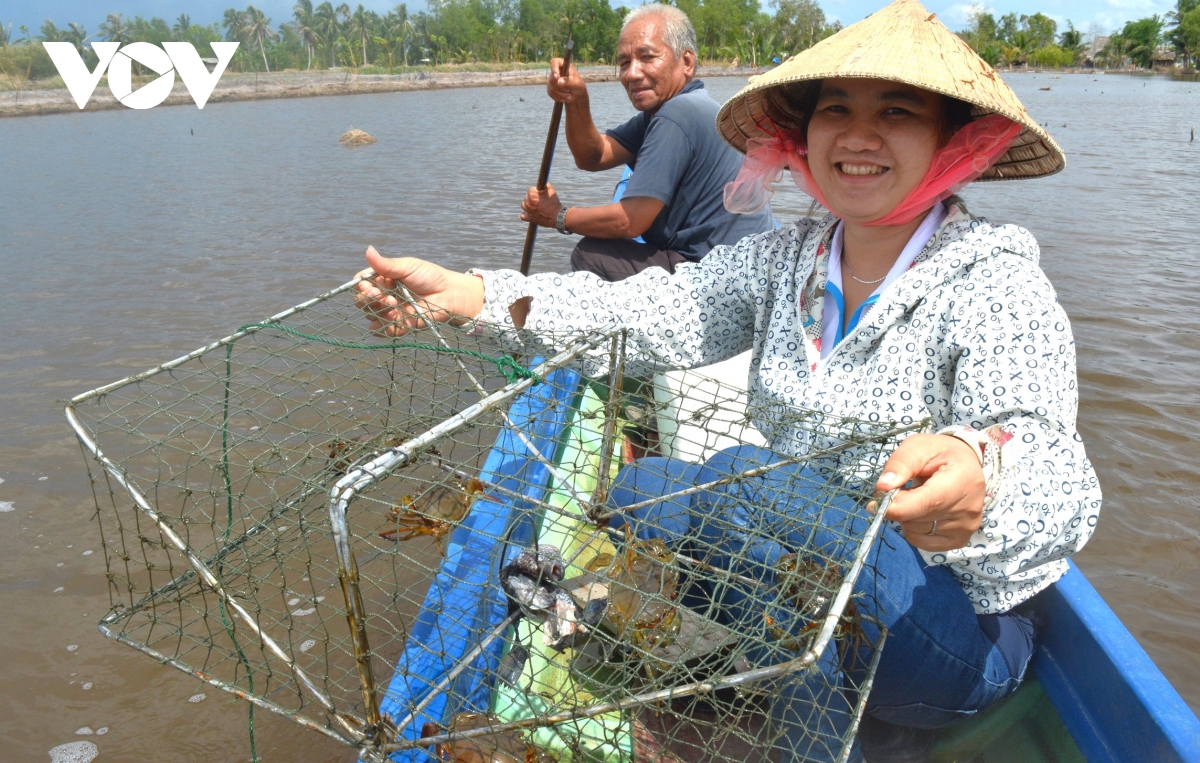 Cua Cà Mau tại sao ngon, ai cũng muốn thưởng thức? - Ảnh 10