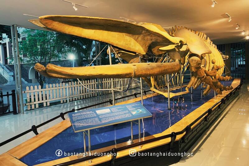 Hoá ra không chỉ Hoả Lò, một địa điểm tham quan cũng từng viral vì content quá "mặn mòi" - Ảnh 3