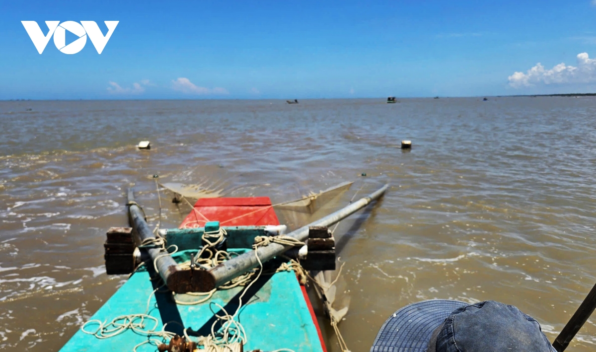 Người dân Cà Mau kiếm 2-3 triệu đồng/ngày nhờ khai thác ruốc biển - Ảnh 15