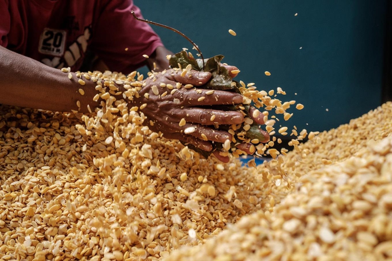 Tiêu thụ tính bằng triệu tấn, Việt Nam tăng mua một mặt hàng giá rẻ từ Campuchia: nhập khẩu tăng hơn 1.000%, mua bao nhiêu cũng không đủ - Ảnh 1