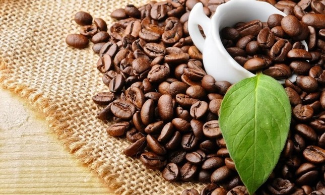 Cà phê Việt Nam thắng lớn - Ảnh 2