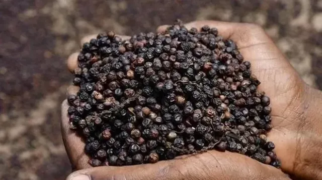 Xuất khẩu hồ tiêu vượt 1 tỷ USD - Ảnh 1