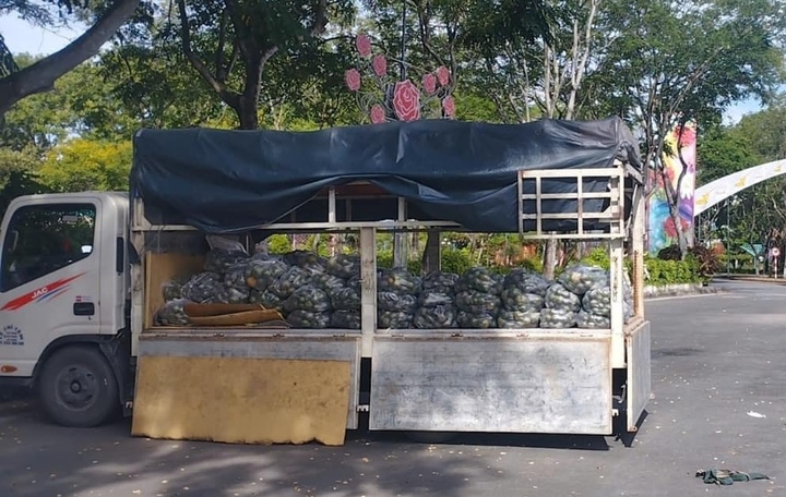 Cam sành rớt giá thảm chỉ còn 2.000 đồng/kg, nông dân gánh lỗ trăm triệu đồng - Ảnh 2