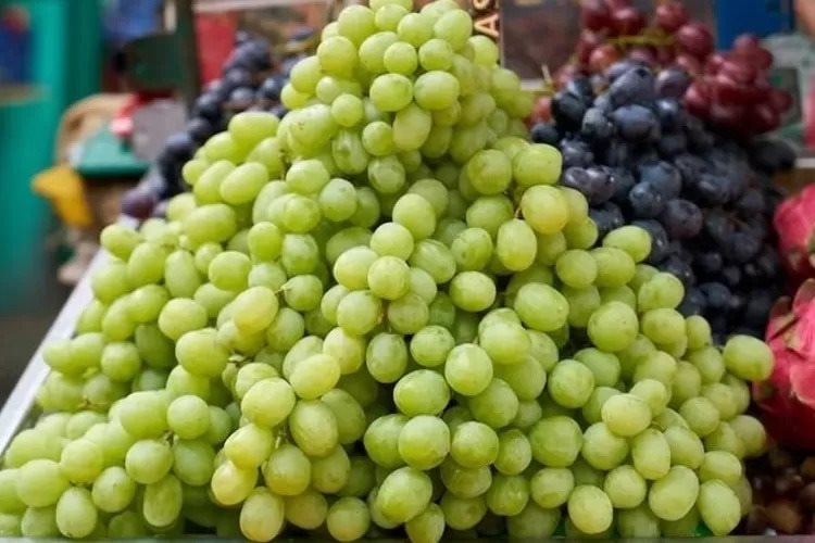 Sau Thái Lan, thêm nước láng giềng điều tra thông tin nho Shine Muscat có thuốc trừ sâu - Ảnh 1