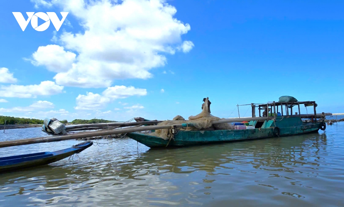 Người dân Cà Mau kiếm 2-3 triệu đồng/ngày nhờ khai thác ruốc biển - Ảnh 4