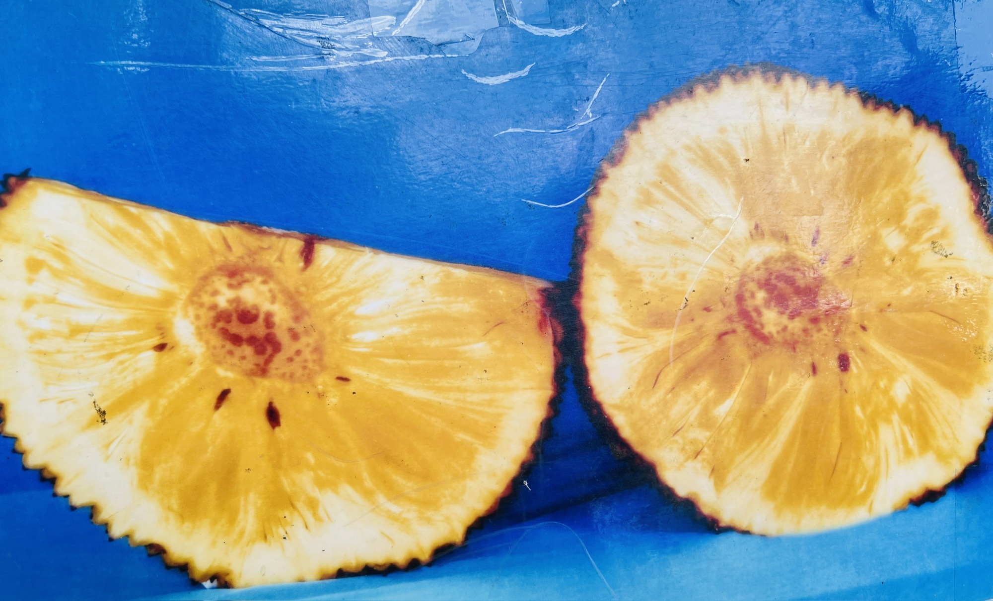 Lão nông ở Cần Thơ trồng giống mít "lạ", khách tranh mua - Ảnh 3