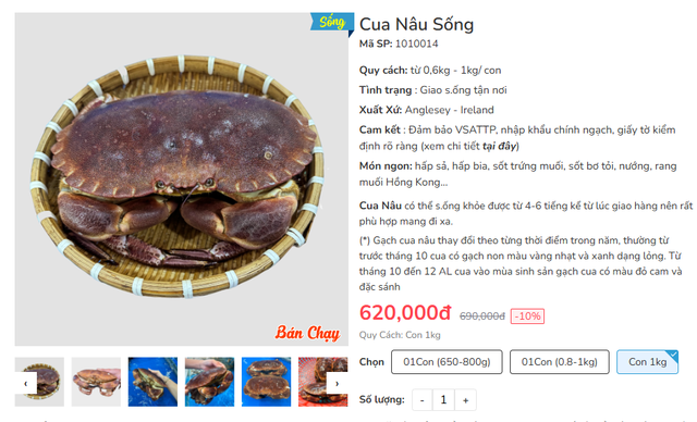 "Siêu hải sản" nổi tiếng thế giới, đi máy bay về Việt Nam nhưng giá lại rẻ hơn cả hàng nội địa - Ảnh 4