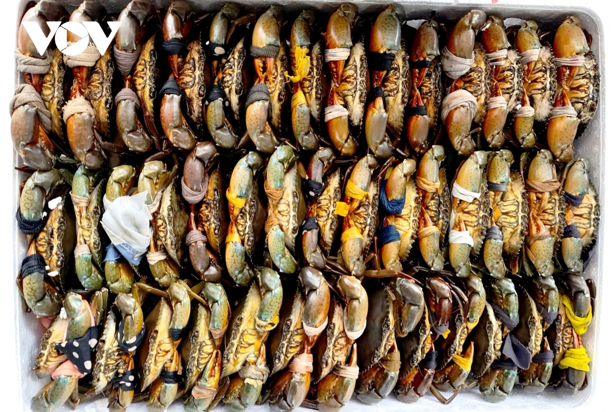 Cua Cà Mau tại sao ngon, ai cũng muốn thưởng thức? - Ảnh 9