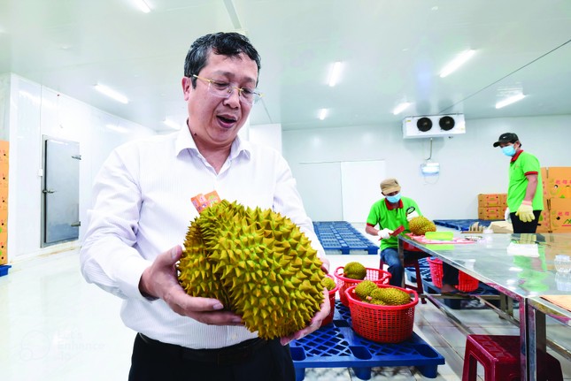 Bứt phá tỷ USD xuất khẩu rau quả - Ảnh 2