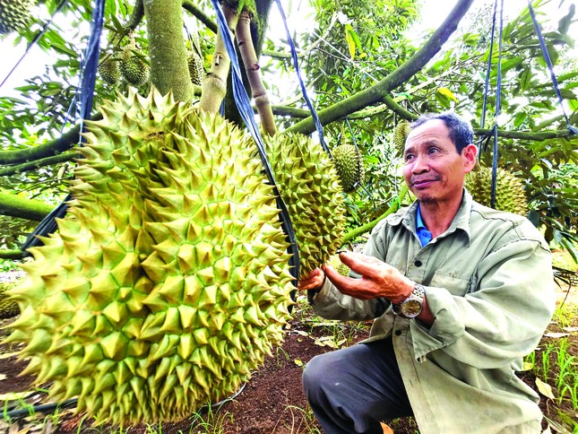 Cây 'tỷ đô' rộng cửa vào thị trường tỷ dân - Ảnh 1