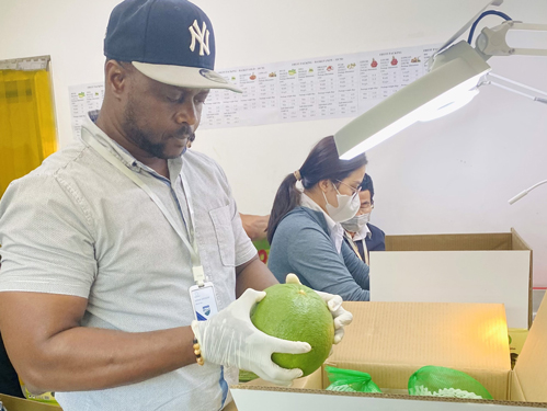 Xuất khẩu vào "đường ray" cao tốc - Ảnh 1