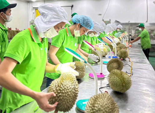 Xuất khẩu vào "đường ray" cao tốc - Ảnh 2