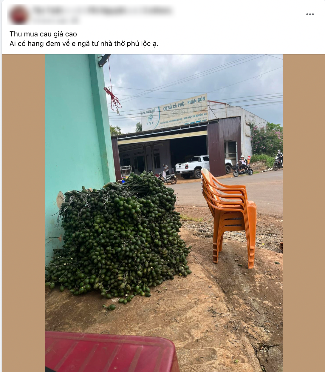 Thứ quả hay trồng quanh ngõ được thương nhân Trung Quốc ráo riết thu gom, giá tăng kỷ lục: 1 tấn quả đổi được 1 lượng vàng - Ảnh 1