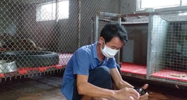 Anh nông dân nuôi con "phàm ăn, mắn đẻ", mỗi năm đút túi 3 tỷ đồng - Ảnh 3