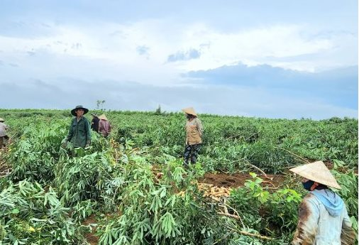 Đây là ‘mỏ vàng’ dưới lòng đất đứng thứ 2 trên thế giới của Việt Nam: Thu hơn 800 triệu USD kể từ đầu năm, nước ta có sản lượng hơn 10 triệu tấn/năm - Ảnh 1