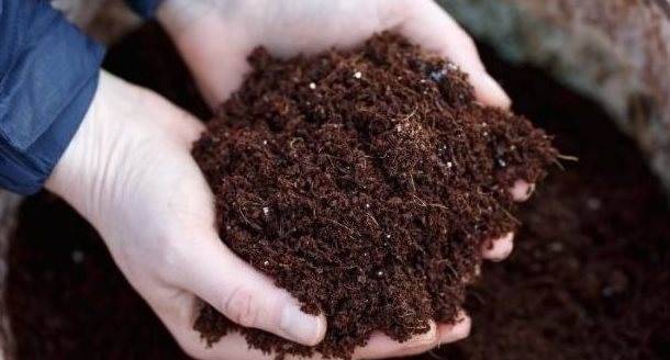 Hàng chục nghìn tấn hàng từ Israel đang đổ bộ Việt Nam với giá rẻ bất ngờ: Nhập khẩu tăng gần 200%, nước ta tiêu thụ hơn 10 triệu tấn mỗi năm - Ảnh 1