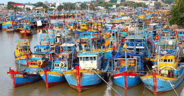 EC chưa chốt ngày đến Việt Nam thanh tra, xem xét gỡ "thẻ vàng" IUU