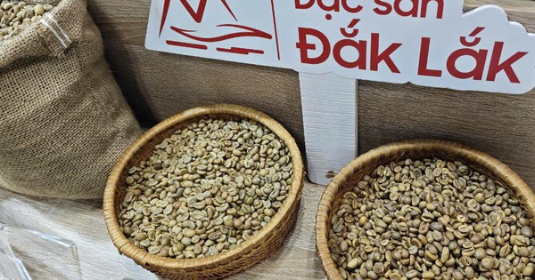 Sốc nặng với giá cà phê Robusta