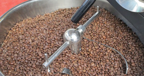 Những kỷ lục chưa từng có của vụ cà phê vừa qua