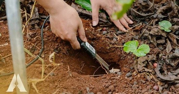 “Giờ đây cục đất, cái cây đã biết nói năng”: Một công nghệ giúp Việt Nam tránh lãng phí gần 4 tỷ USD/năm