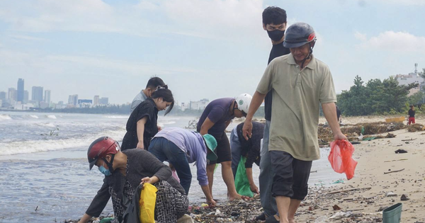 Lạ: Dân Đà Nẵng tràn ra biển sau bão số 6, lập tức hốt được cả chục ký "lộc trời" mang về bán