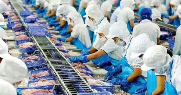 Nhiều mặt hàng "lên ngôi", xuất khẩu thủy sản dự báo đạt 9,5 tỷ USD năm 2024