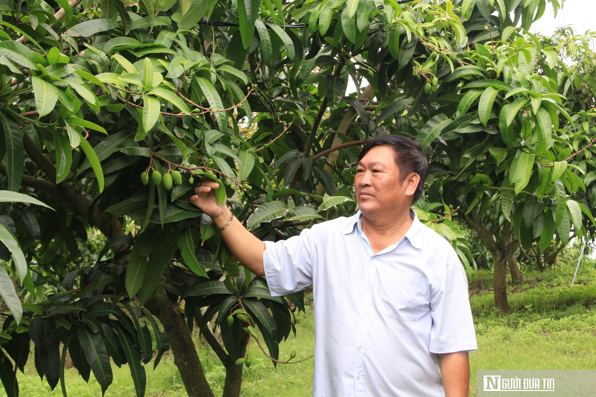 Chở phù sa ngược lên vùng “đất khó”, lão nông U70 kiếm hơn 1 tỷ đồng/năm - Ảnh 4