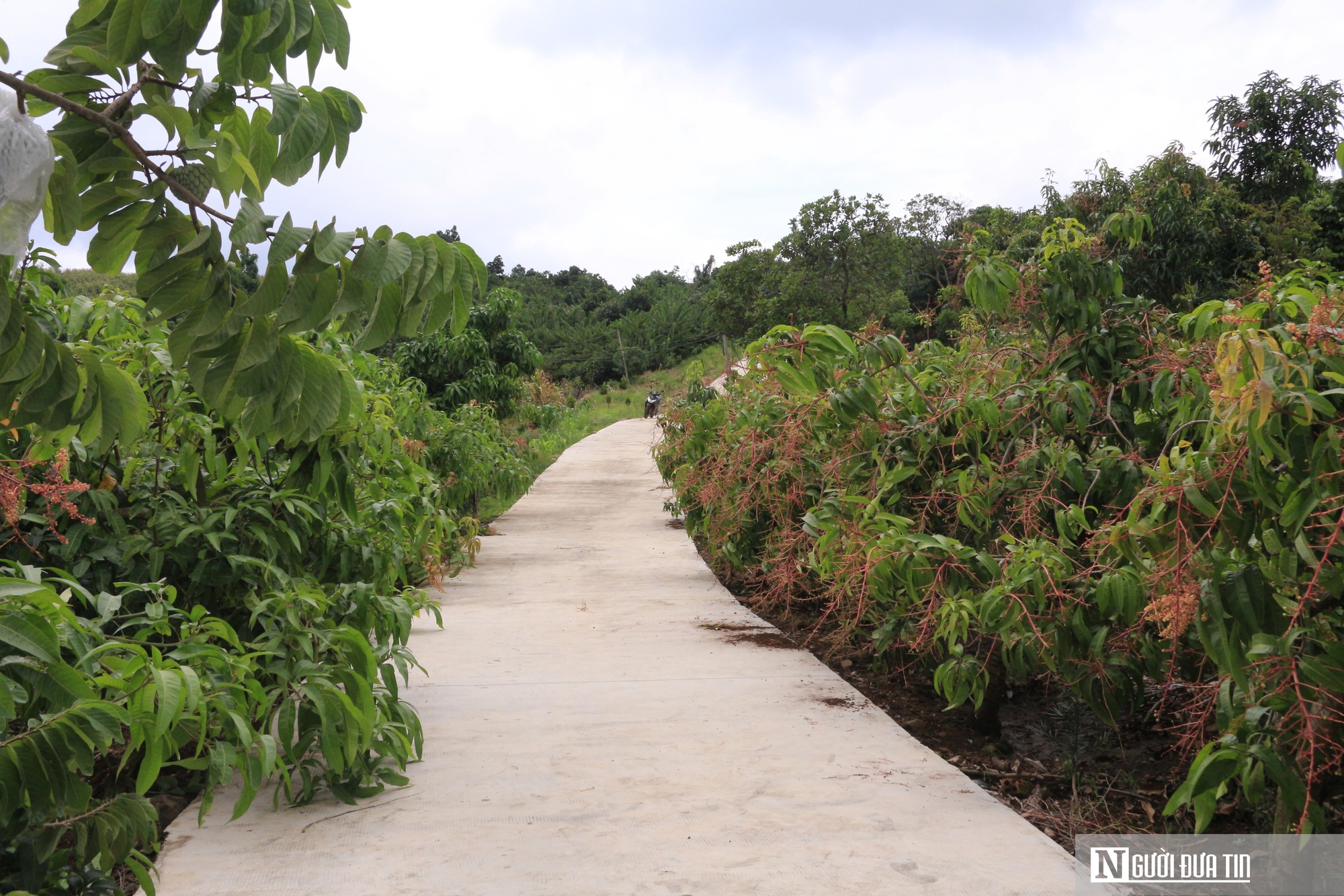 Chở phù sa ngược lên vùng “đất khó”, lão nông U70 kiếm hơn 1 tỷ đồng/năm - Ảnh 5