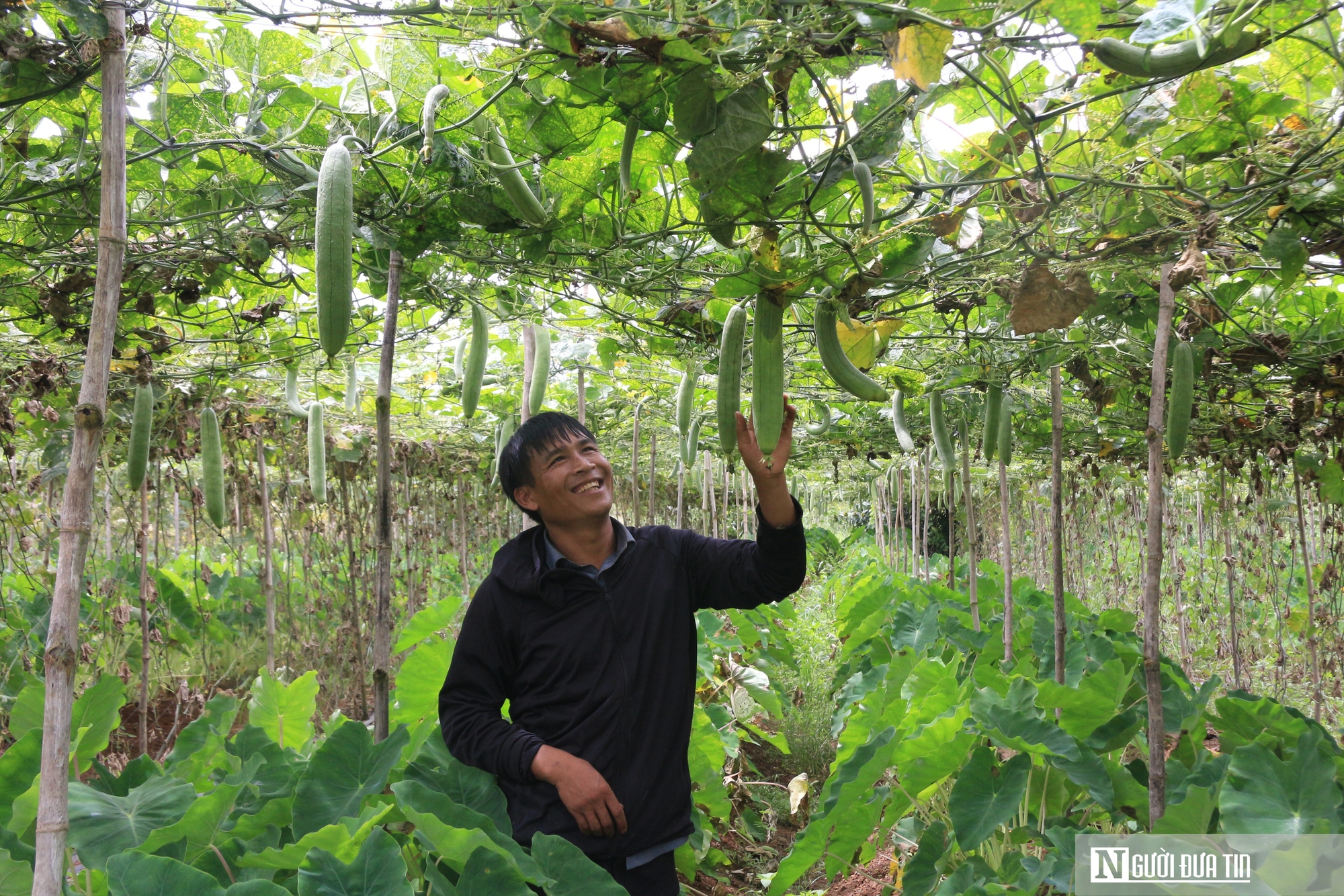 Biến thứ bỏ đi thành "siêu phẩm", anh giám đốc trao cơ hội làm giàu cho nhiều nông dân - Ảnh 7