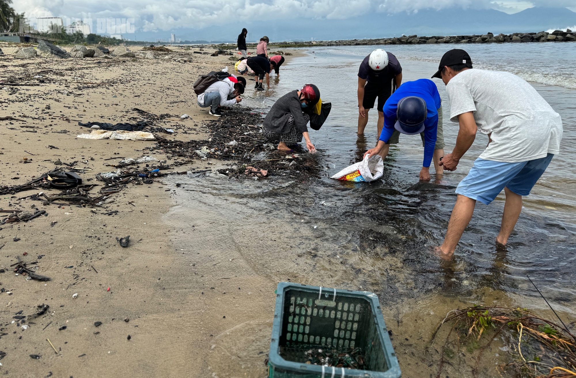 CLIP: Đổ xô ra biển Đà Nẵng nhặt vẹm xanh, sò huyết, cua.. sau bão số 6 - Ảnh 1
