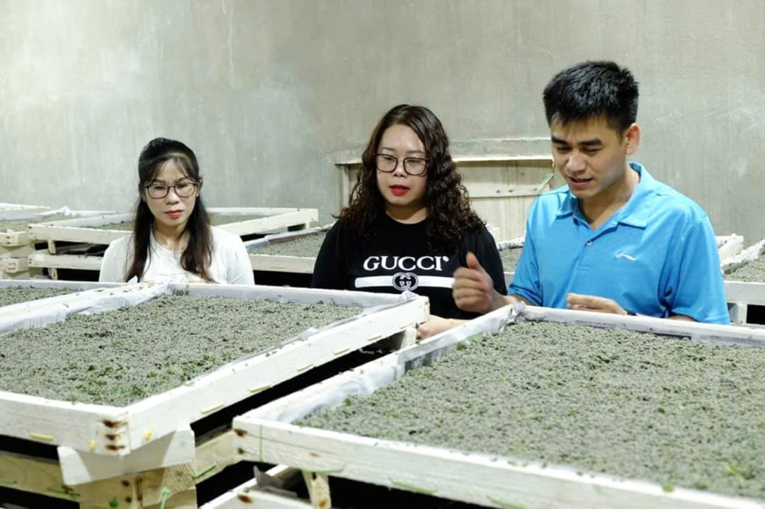 Bỏ phố về quê nuôi con nhả ra thứ "quý như vàng", anh nông dân nhẹ nhàng kiếm 45 tỷ đồng/năm - Ảnh 1