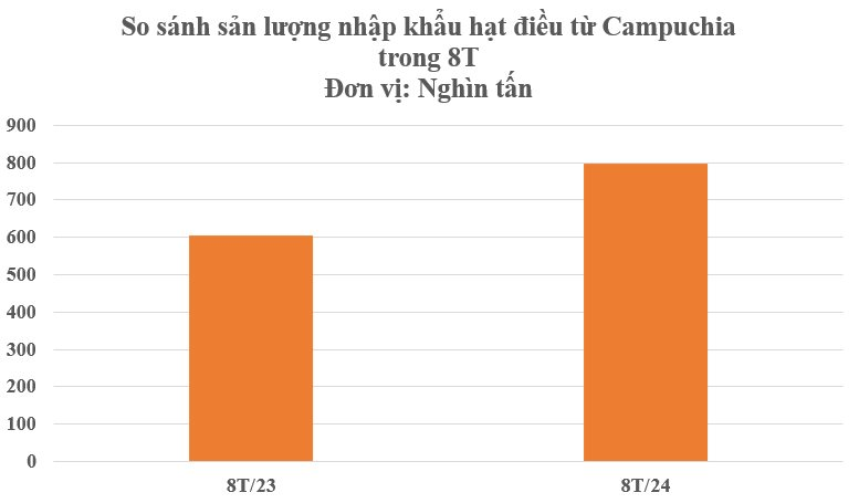 Hàng trăm nghìn tấn 'báu vật' của Campuchia tiếp tục đổ về Việt Nam - mặt hàng gì mà nước ta chi tỷ USD gom hàng? - Ảnh 2