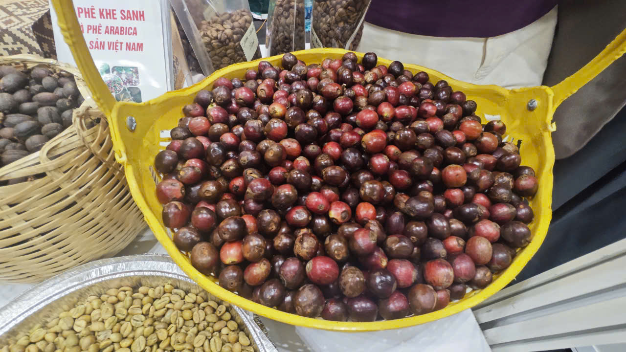 Giá cà phê tăng gấp đôi và nỗi lo bong bóng giá - Ảnh 2