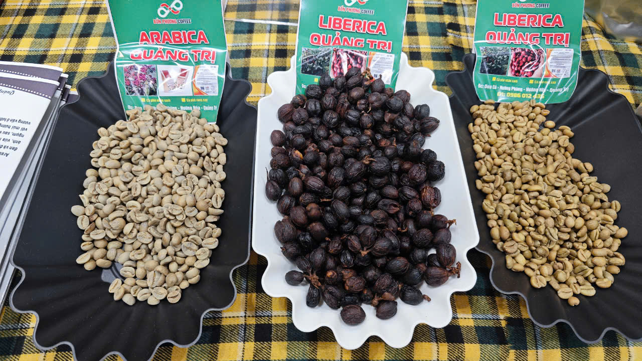 Giá cà phê tăng gấp đôi và nỗi lo bong bóng giá - Ảnh 1