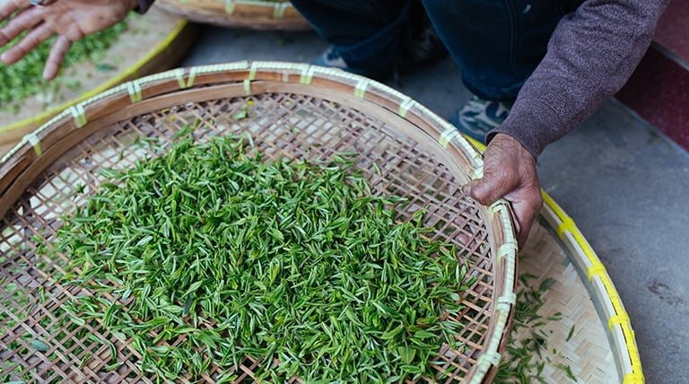 Việt Nam chiếm bao nhiêu trong miếng bánh 'vàng xanh trên cây' trị giá hơn 50 tỷ USD này? - Ảnh 1