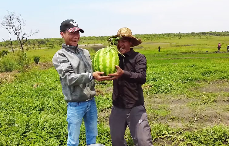 Ruộng dưa hấu ở Angola đến ngày thu hoạch, ông chủ người Việt hái làm quà tặng, phát hiện điều bất ngờ - Ảnh 4