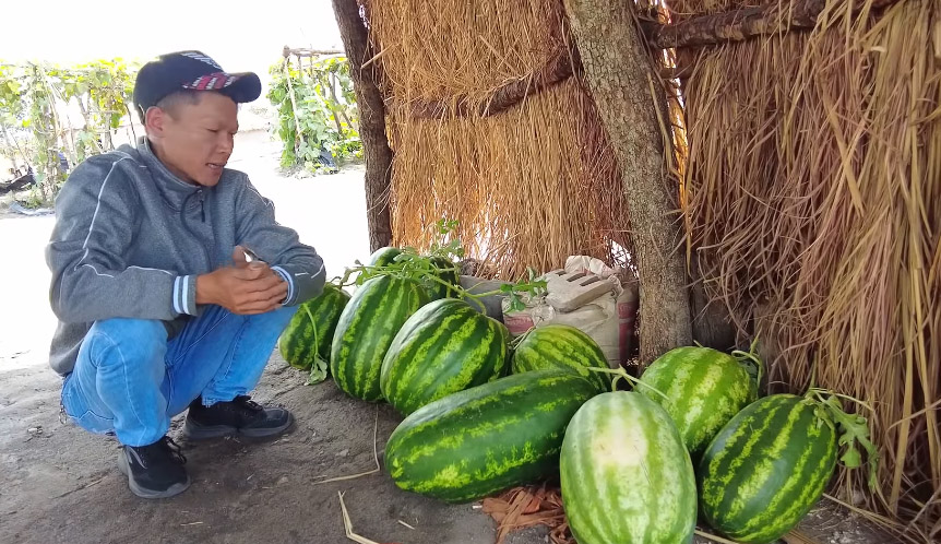 Ruộng dưa hấu ở Angola đến ngày thu hoạch, ông chủ người Việt hái làm quà tặng, phát hiện điều bất ngờ - Ảnh 7