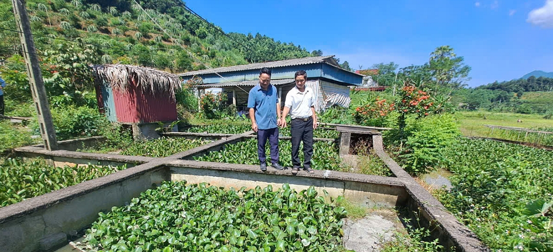 Nuôi con "hiền như đất" mê đồ luộc chín, ông nông dân nhẹ nhàng kiếm 500 triệu/năm - Ảnh 1