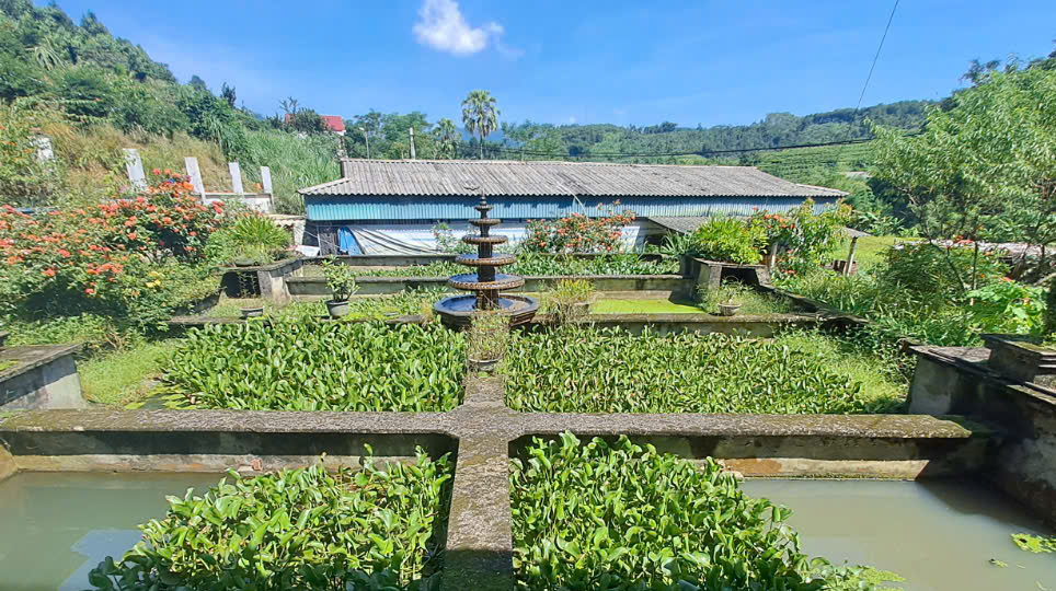 Nuôi con "hiền như đất" mê đồ luộc chín, ông nông dân nhẹ nhàng kiếm 500 triệu/năm - Ảnh 2