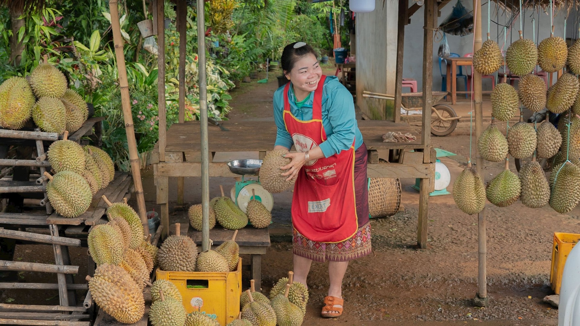Nhập khẩu phần lớn từ Việt-Thái, nay Trung Quốc muốn thu gom loại đặc sản này từ Lào - Ảnh 2