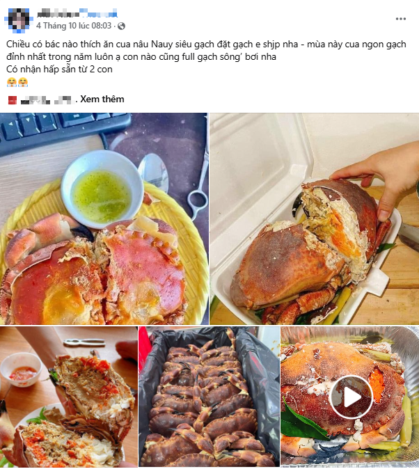 "Siêu hải sản" nổi tiếng thế giới, đi máy bay về Việt Nam nhưng giá lại rẻ hơn cả hàng nội địa - Ảnh 6