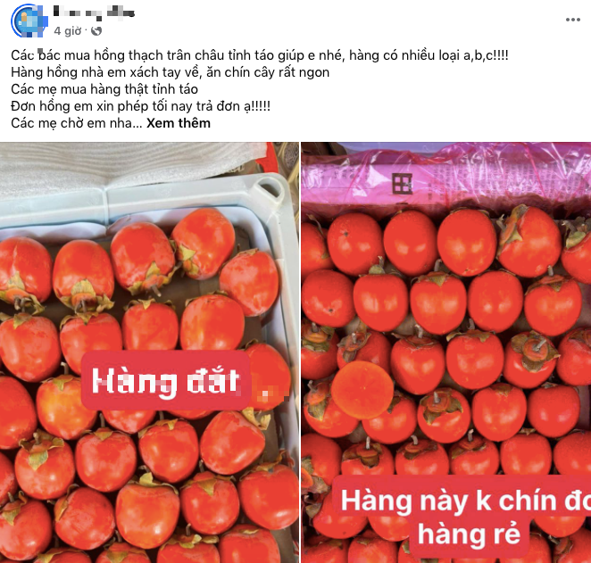 Trái hồng đỏ "rực lửa", quảng cáo xách tay từ Trung Quốc về bán tràn lan chợ online - Ảnh 1