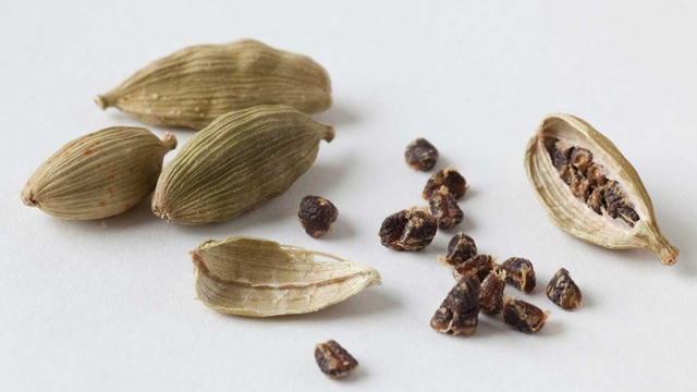 Loại cây gia vị đắt thứ 3 thế giới: Thu hoạch cần công phu, Việt Nam trồng rất nhiều - Ảnh 4