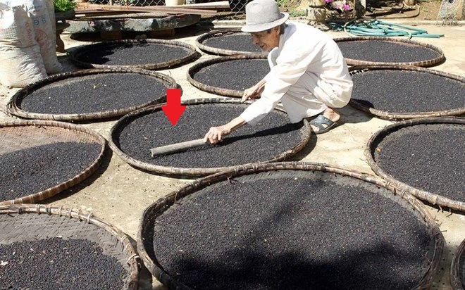 Liên tục tăng giá, “vàng đen” giúp Việt Nam thu vượt 1 tỷ USD: Hàng trăm nghìn tấn đổ bộ 100 quốc gia - Ảnh 1