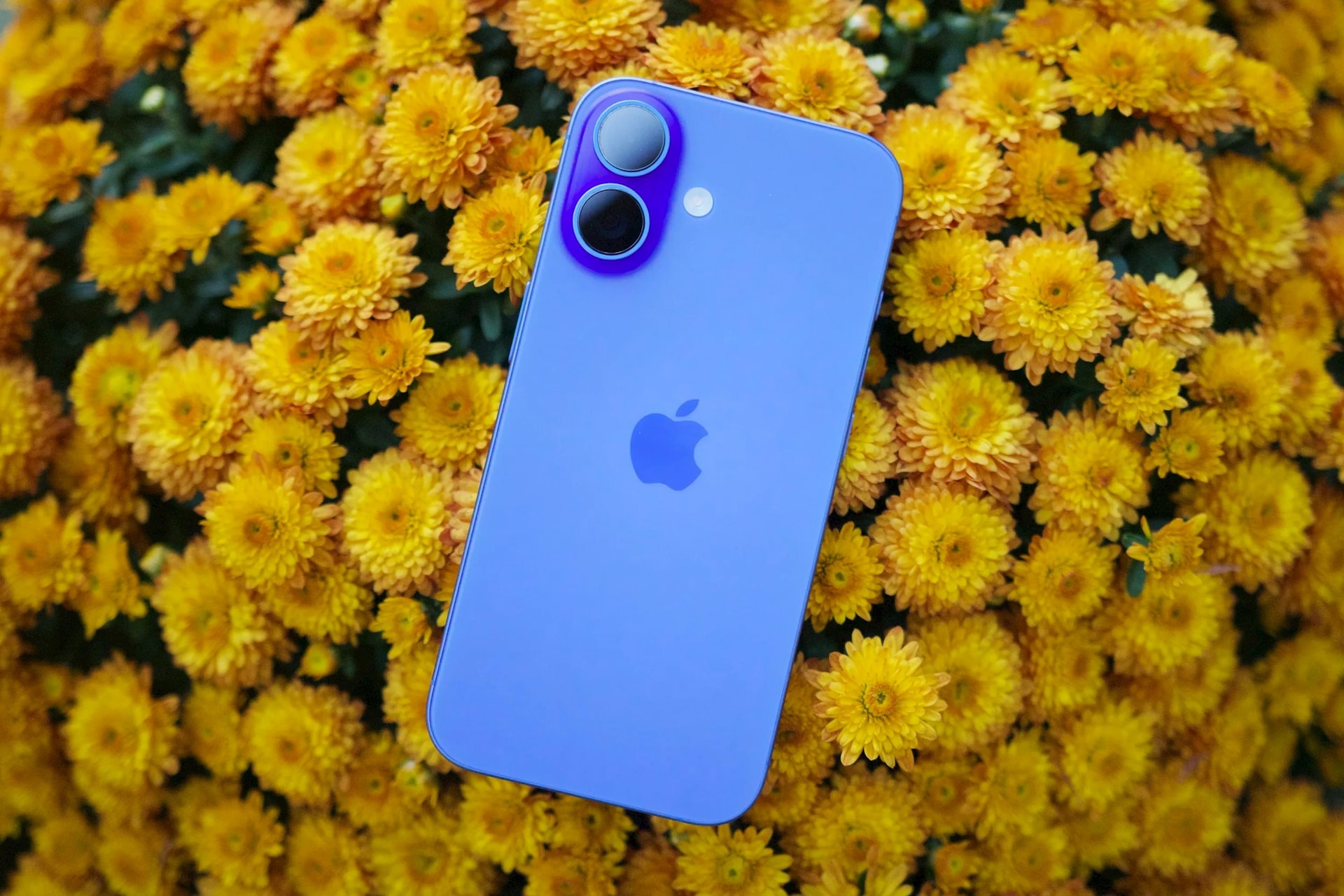 iPhone 16 giảm giá - Ảnh 1