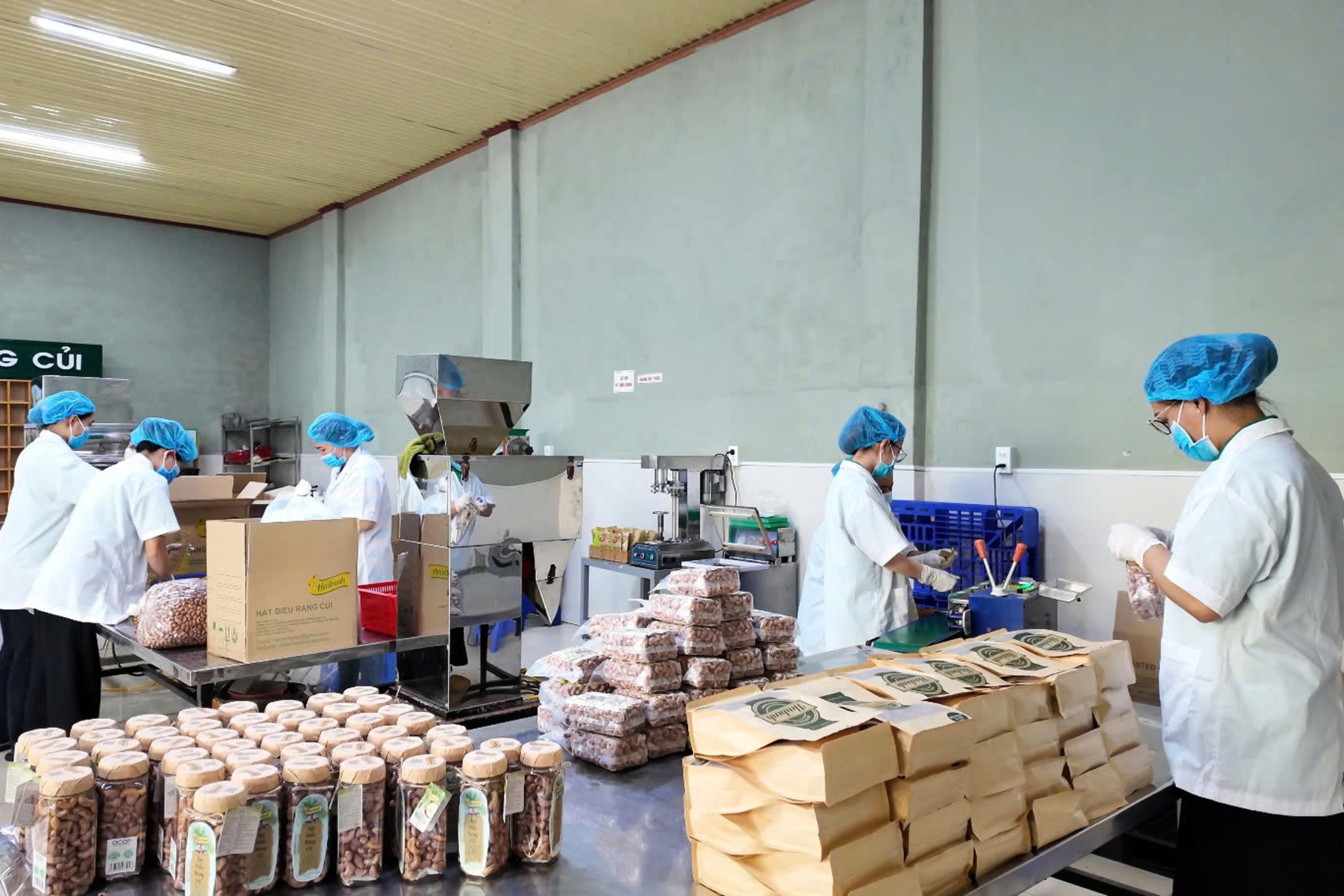 Đưa loại “hạt quý” chinh phục thị trường thế giới, anh nông dân thu lãi 250 tỷ đồng/năm - Ảnh 3