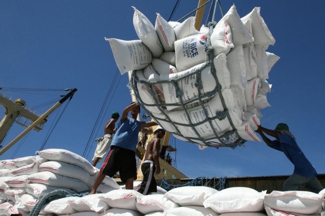 Việt Nam chi gần 1 tỷ USD nhập khẩu gạo: 'Không có gì to tát, lo ngại' - Ảnh 1